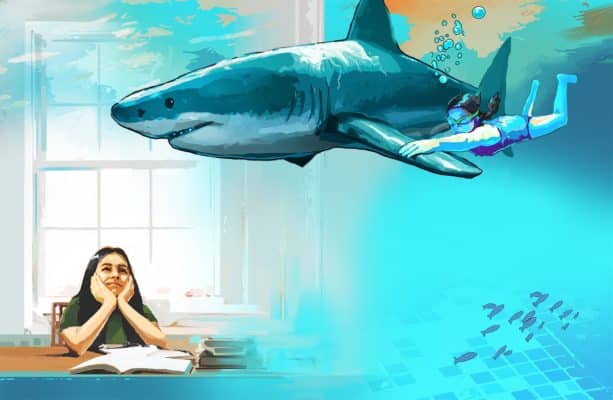Book Shark Illustration