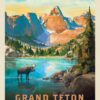 Grand Teton National Park: Moose