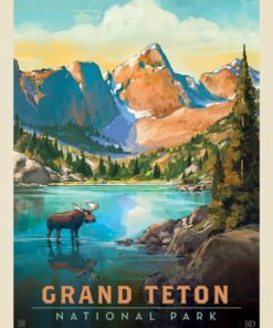 Grand Teton National Park: Moose