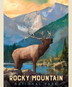 Rocky Mountain National Park: Bull Elk