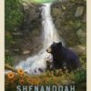 Shenandoah National Park: Bear Family