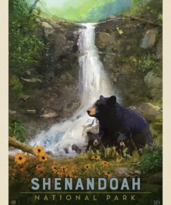 Shenandoah National Park: Bear Family